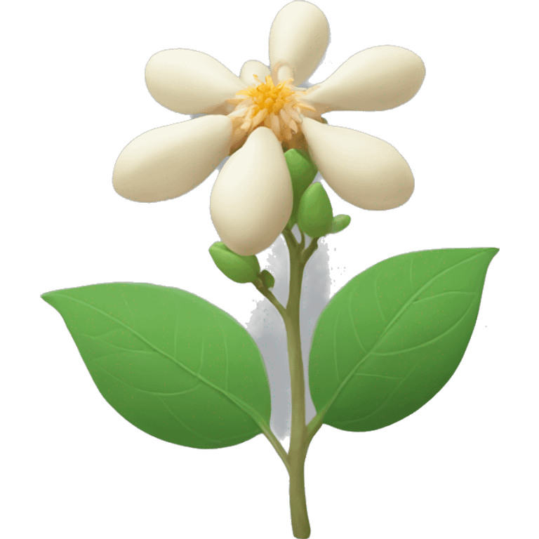 ashwagandha with flower emoji