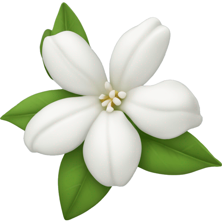 White jasmine flower emoji