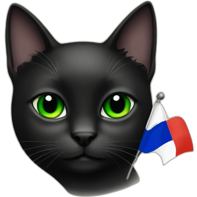 All black cat green eyes with French flag emoji