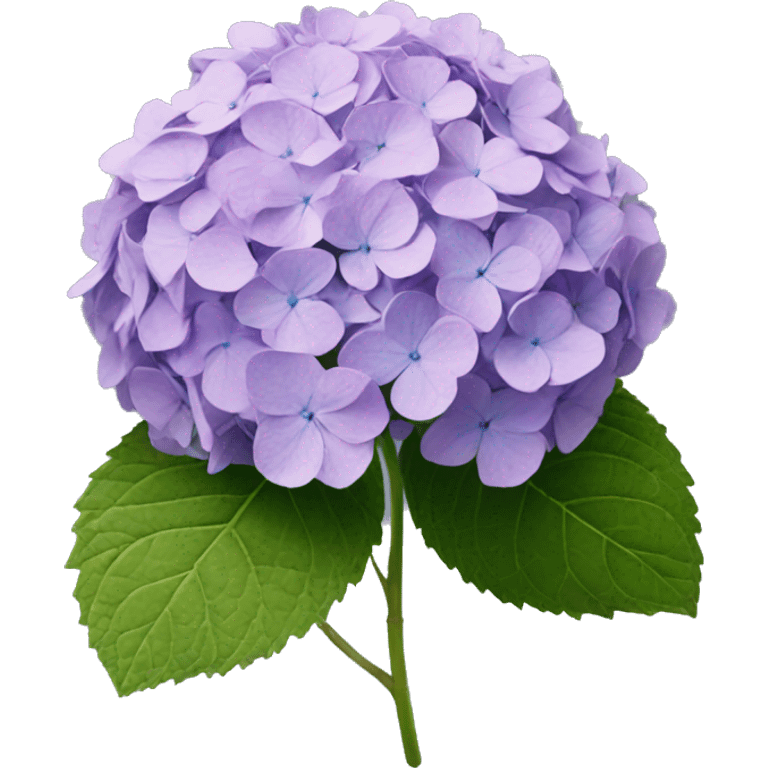 Hydrangea emoji