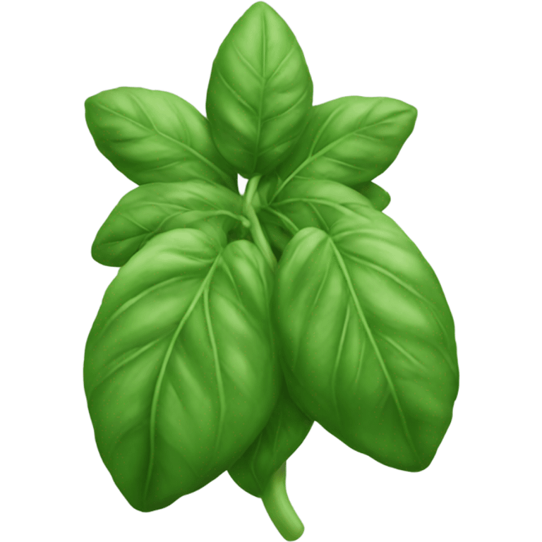 Basil emoji