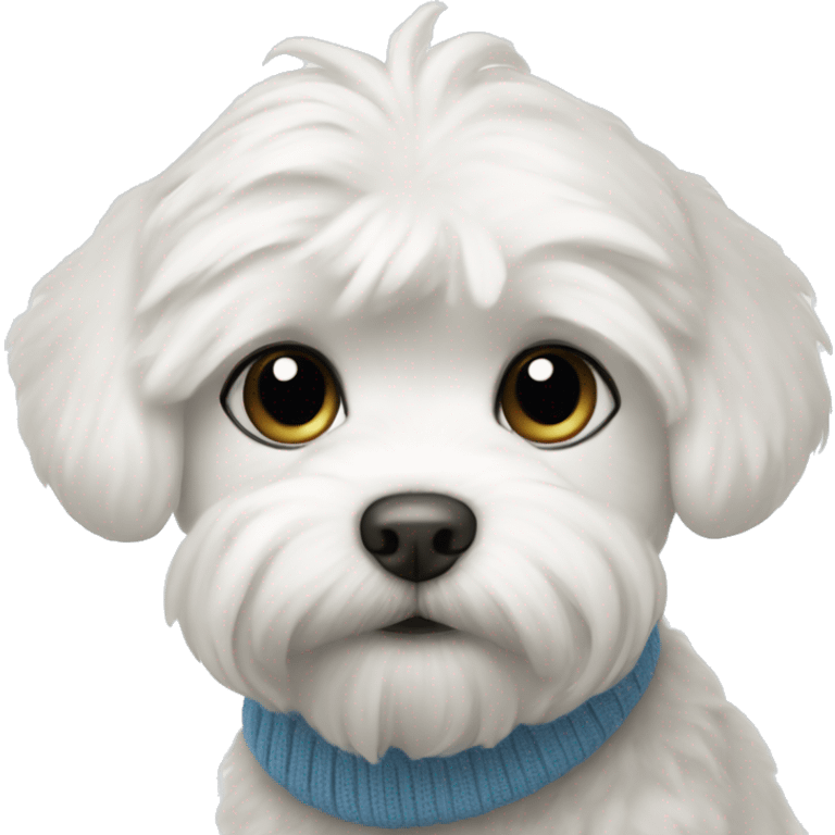 White maltese puppy with blue sweater emoji