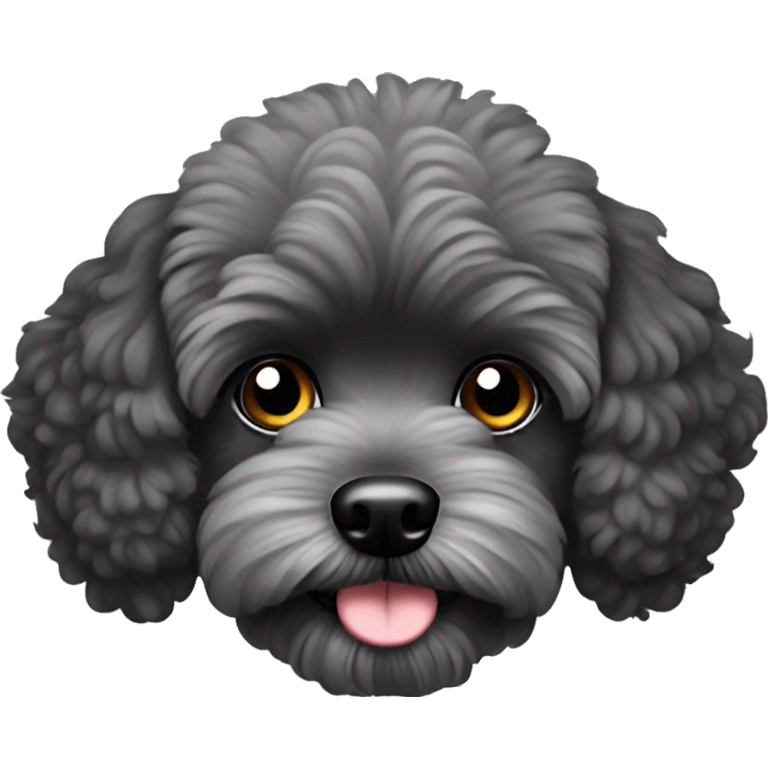 Black maltipoo with light gray snout emoji