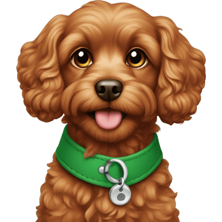 Red cavapoo with green collar emoji