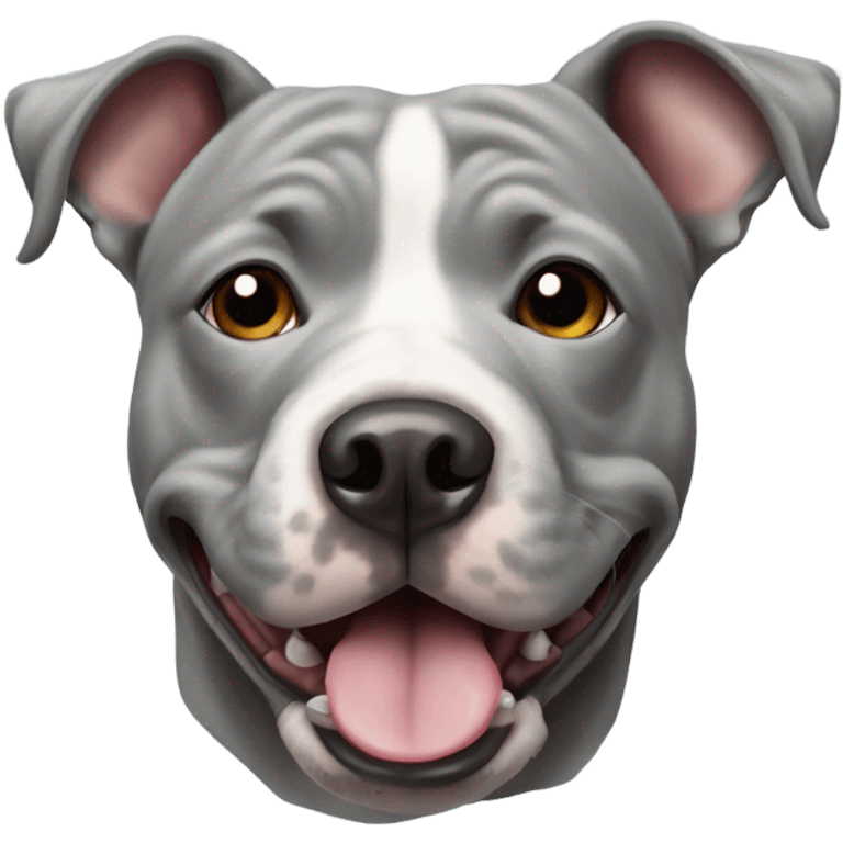 Grey Stafford shire bull terrier dog portrait emoji