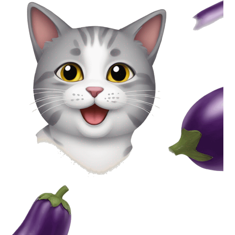 cat with eggplant  emoji