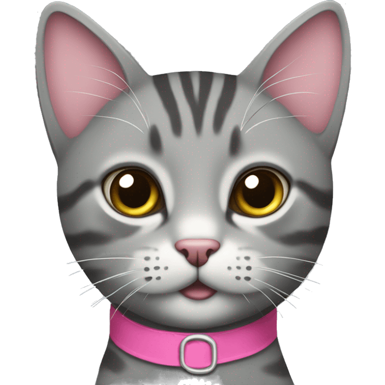 Grey tabby cat with a pink small collar emoji