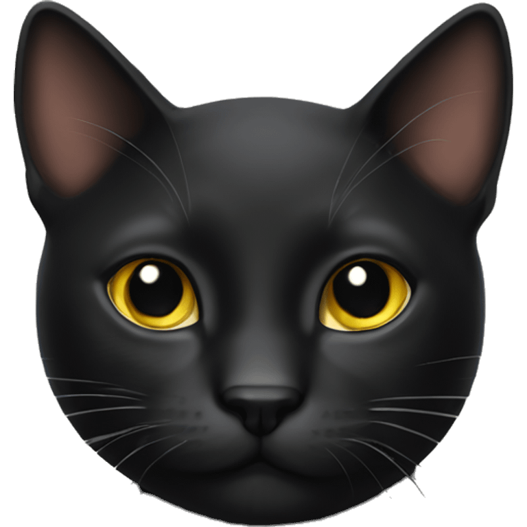 gato negro emoji