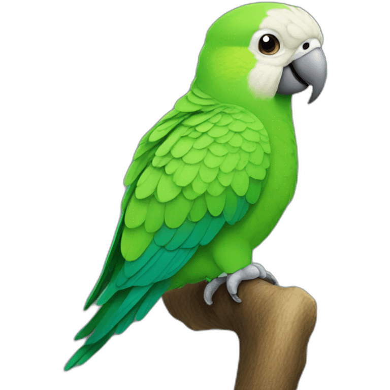 Quaker parrot emoji