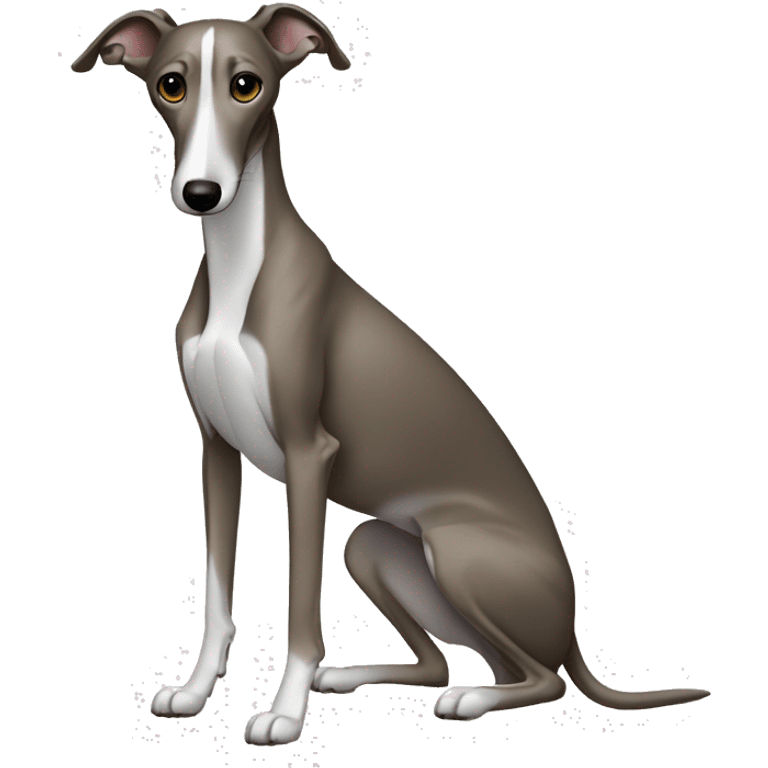 Skinny all back whippet sitting emoji