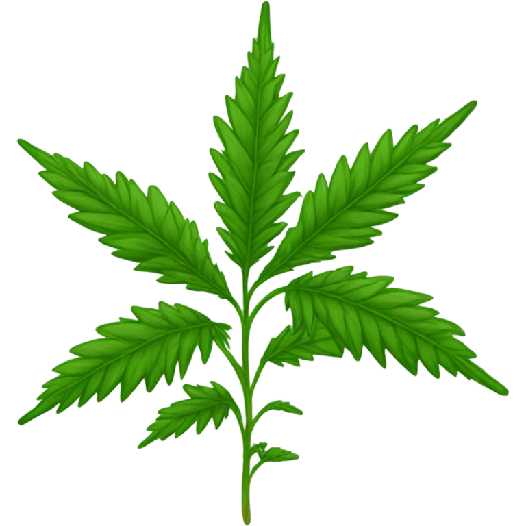 Marijuana plant  emoji