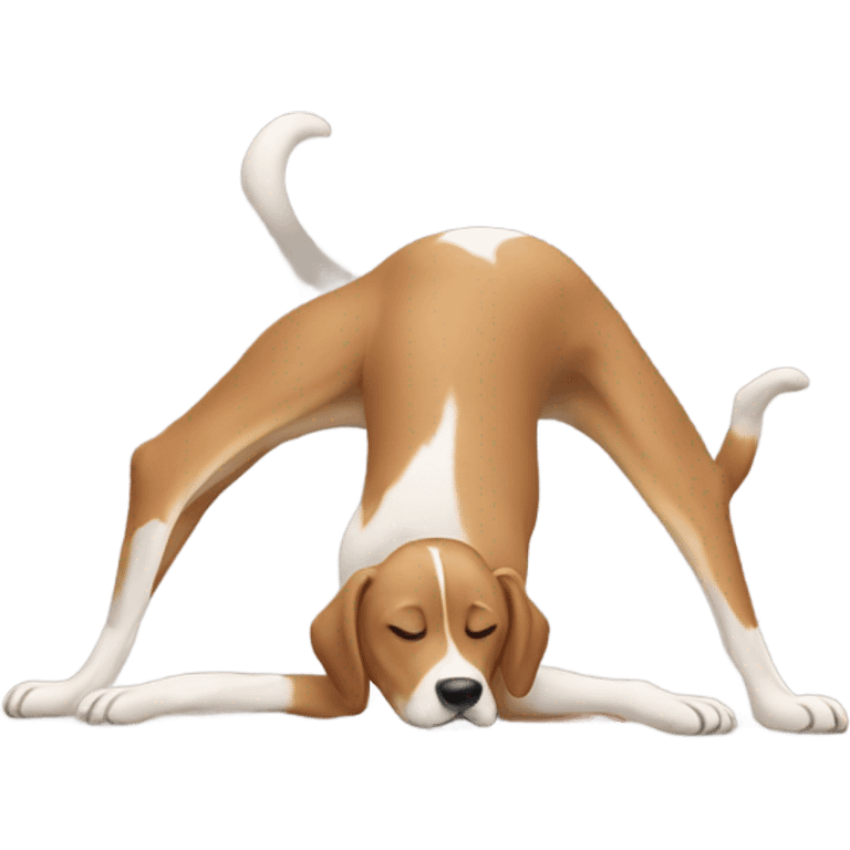 Dog doing a headstand  emoji