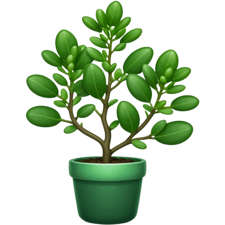 Cinematic Realistic Jade Plant Emoji, Thick and glossy, with dark green, round leaves that shine under the light. The sturdy stems and vibrant foliage give a sense of prosperity and tranquility. Soft glowing outline, capturing the essence of good luck, growth, and natural elegance in a flourishing jade plant! emoji