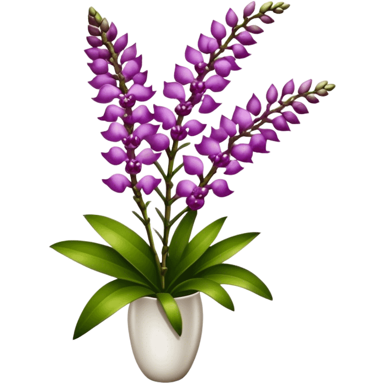 super big bouquet Rhynchostylis Orchid, stem, leaf emoji