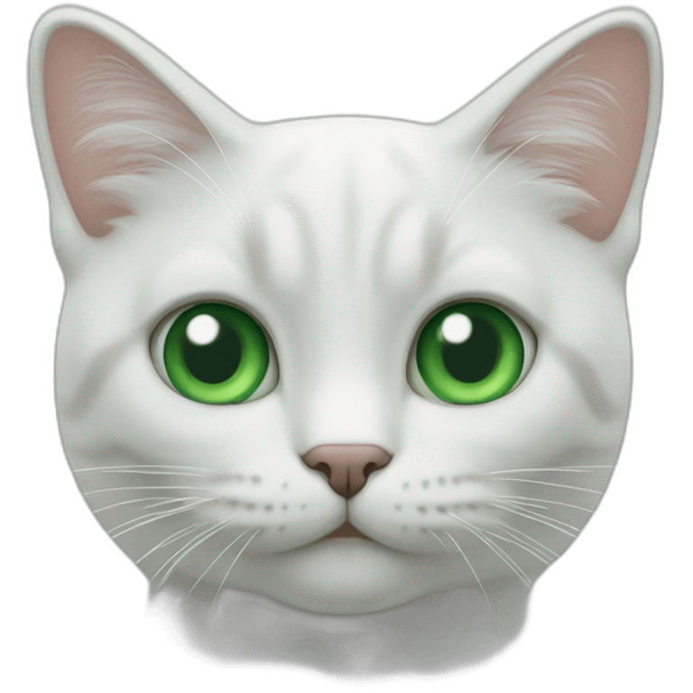 Chat blanc yeux bleus et vert emoji