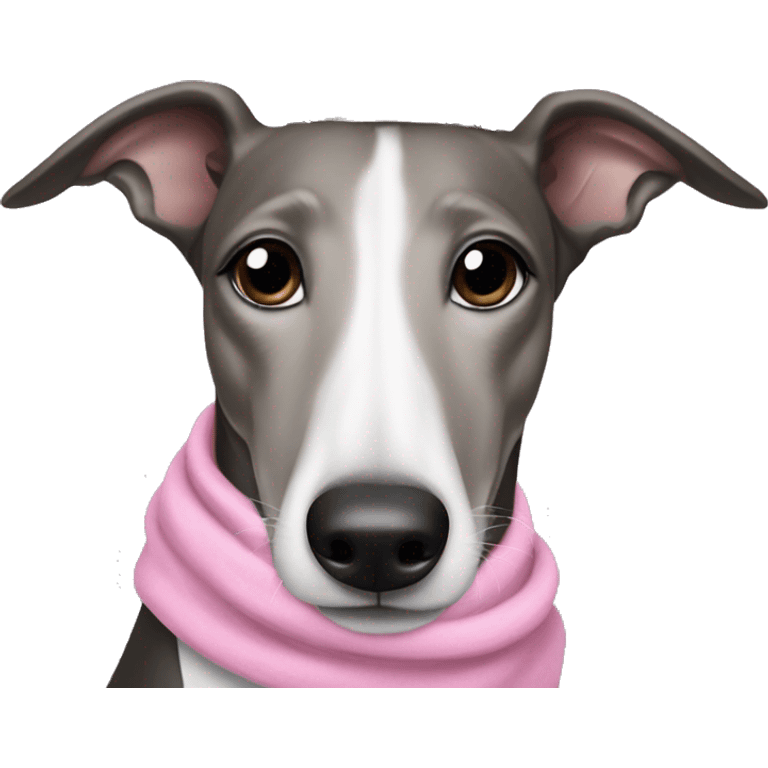 Black and white greyhound wearing a tiara and a pink scarf  emoji