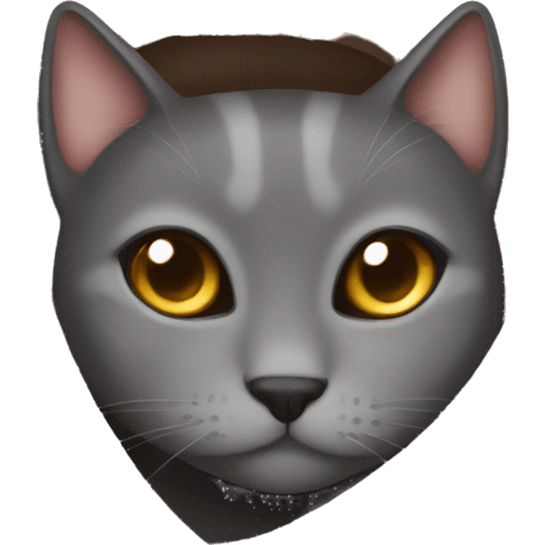 grey cat cozy in brown blanket  emoji