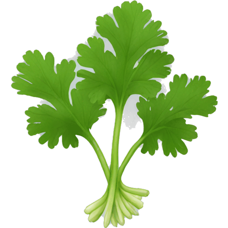 cilantro emoji