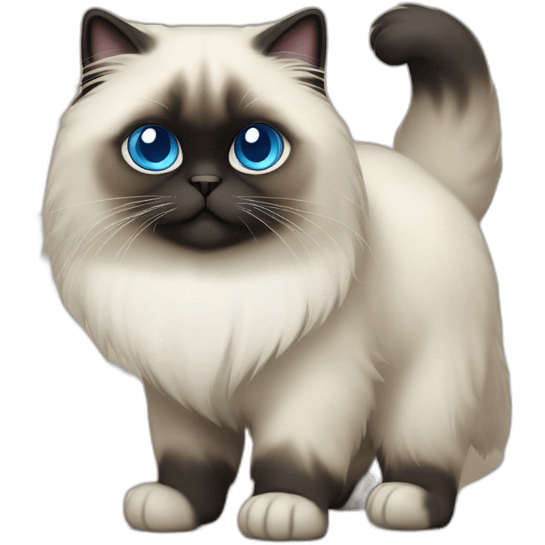 himalayan cat blue eyes dark face full body playing on back emoji