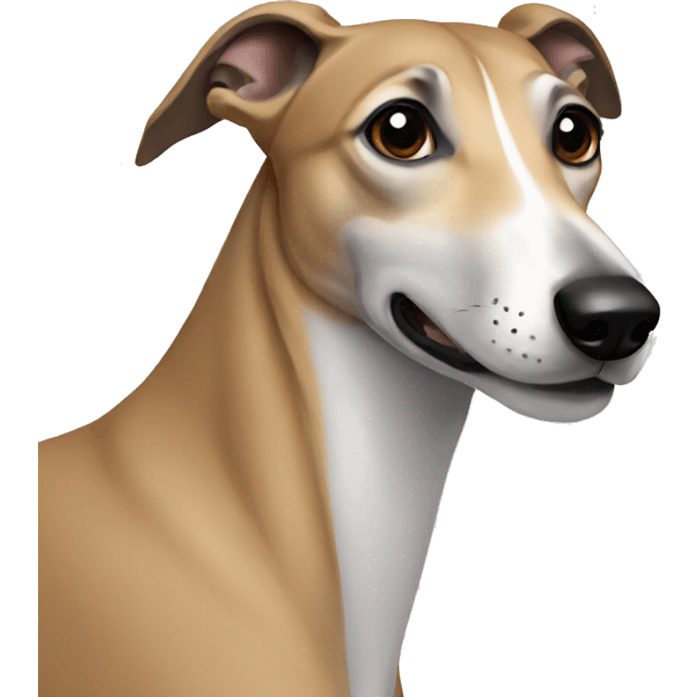 Greyhound emoji