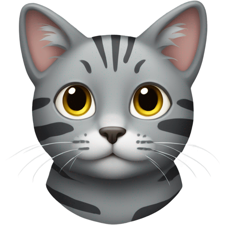 Grey cat with stripes  emoji