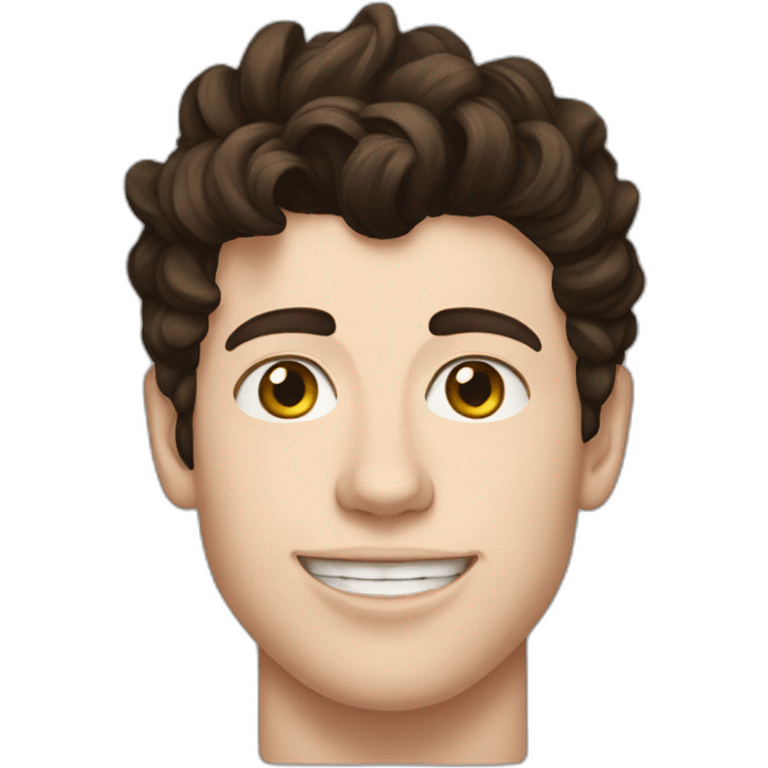 Shawn mendes emoji