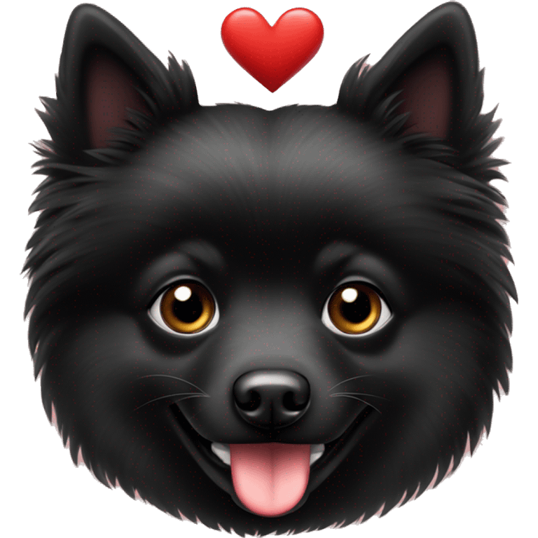 Black spitz with heart emoji