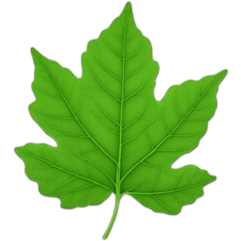 Leaf under a microscope emoji