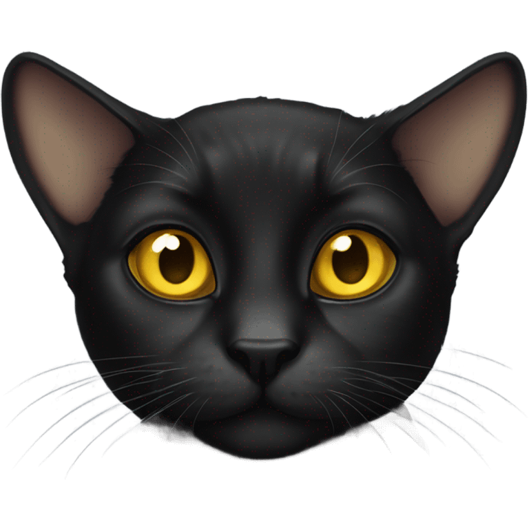 Black lop-eared cat with yellow eyes emoji