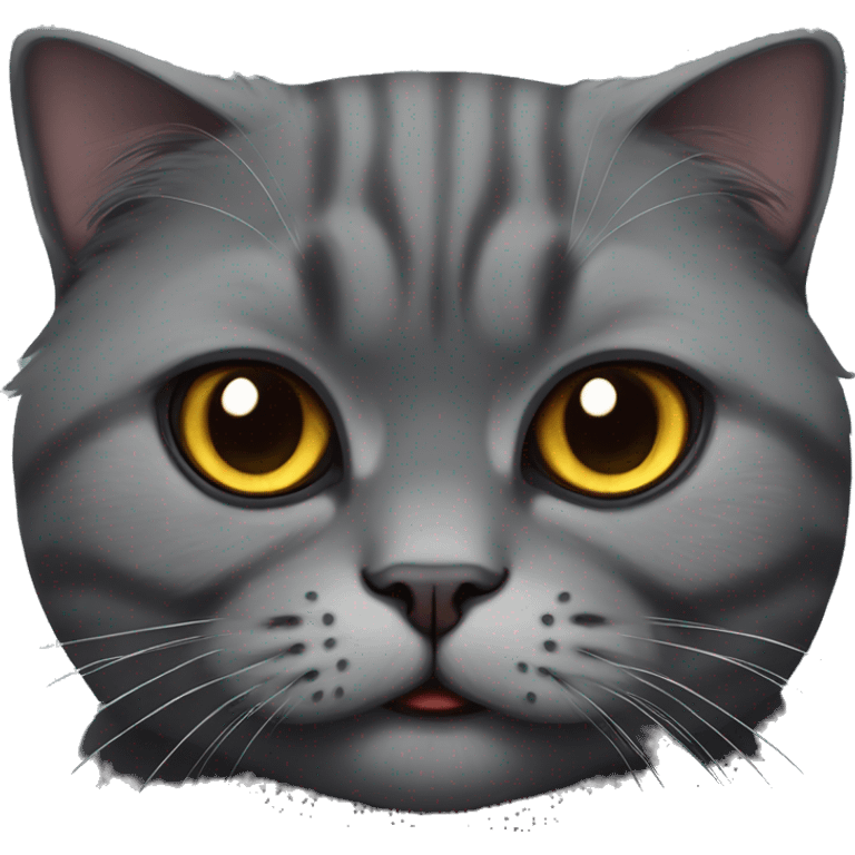 Dark grey scottish fold cat evil smile  emoji