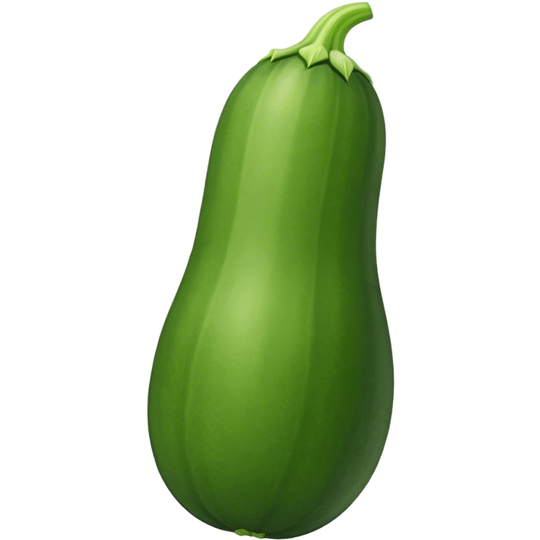 green squash looking like a cucumber emoji