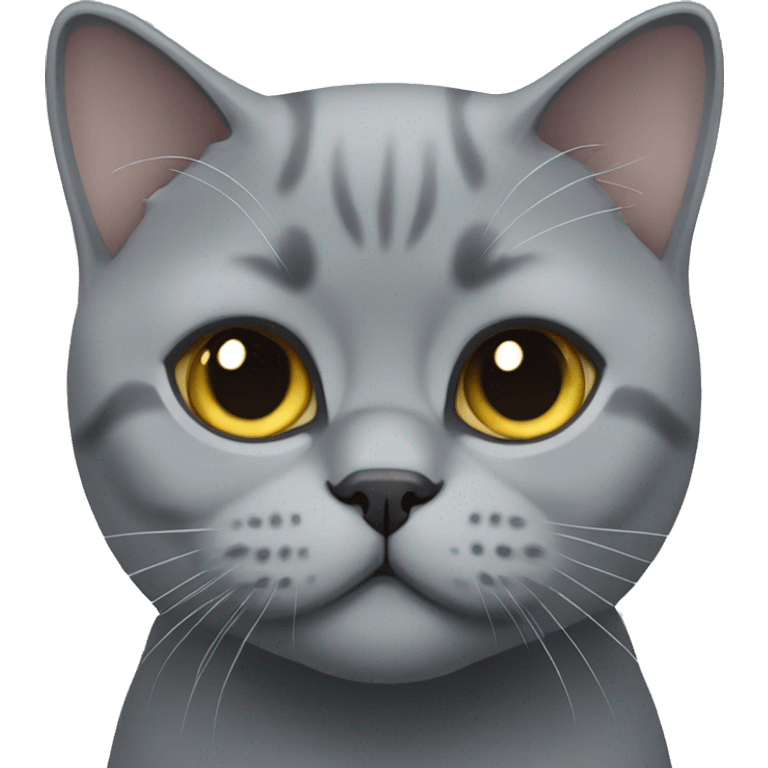 Grey british shorthair emoji