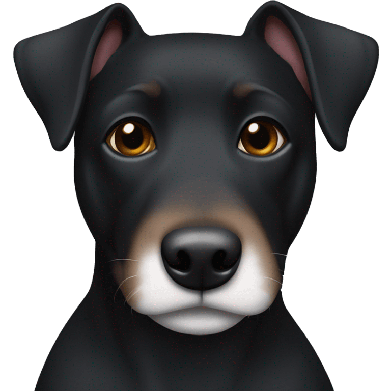 A black Patterdale Terrier dog with a white patch on its chest and brown eyes. emoji