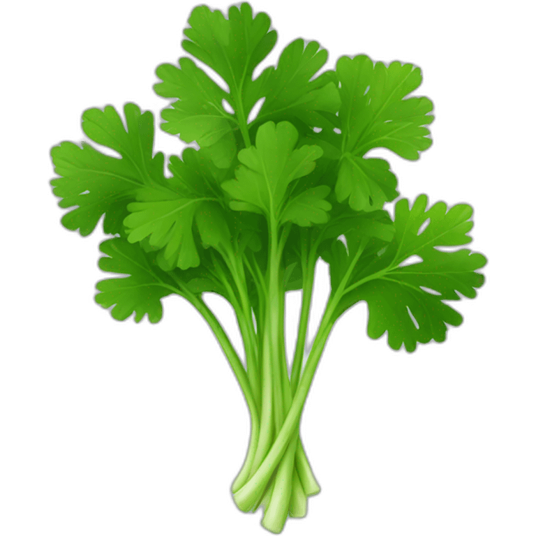 Parsley emoji