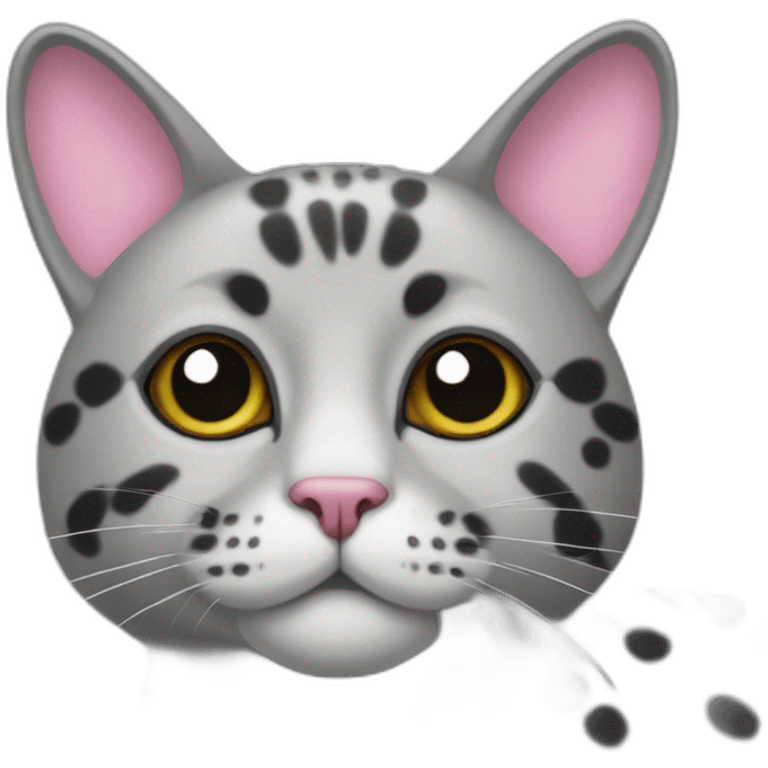 a gray beehive cat with a pink nose and black spots and no pattern all over emoji