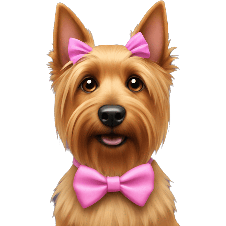 Australian terrier dog wearing a pink bow around neck emoji