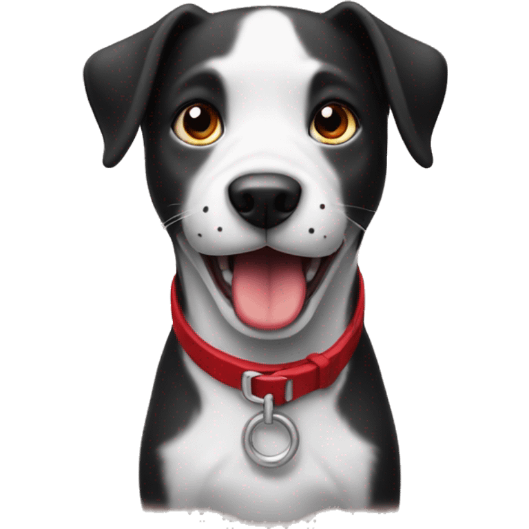 black and white dog with red collar holding a tiny yell emoji