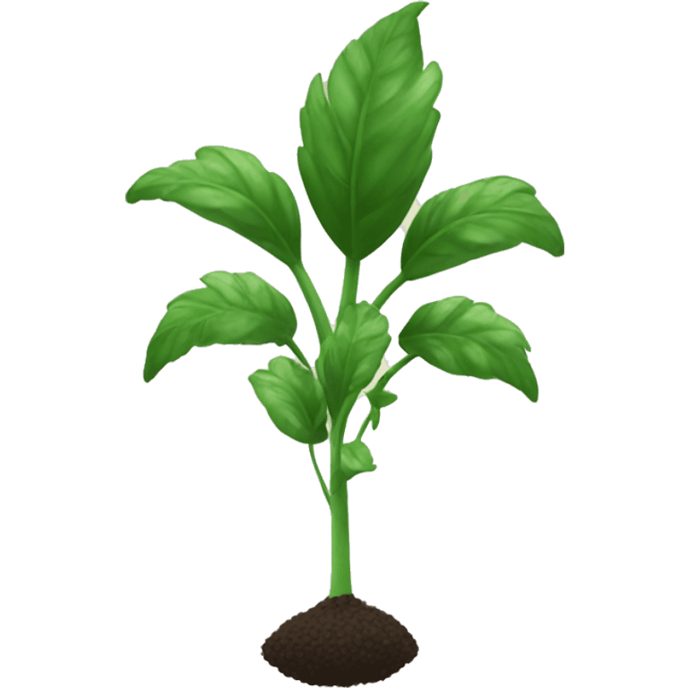 planta de trigo emoji