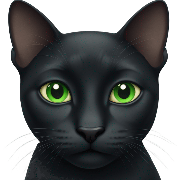 Black cat with Green eyes  emoji