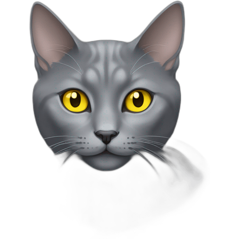 fluffy grey korat breed cat with yellow eyes black pupils, sleeping female emoji