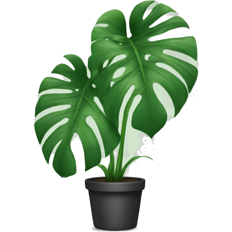 Monstera emoji