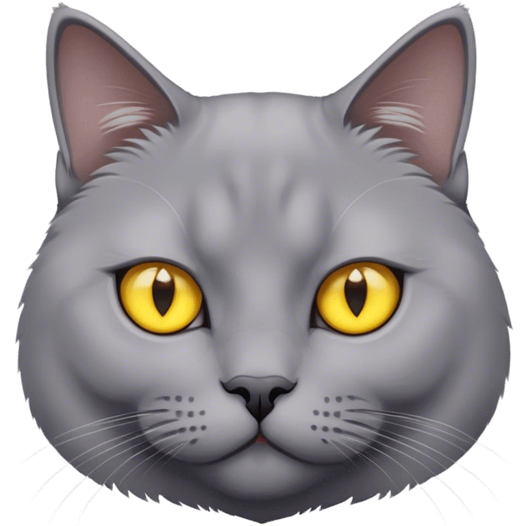 grey British cat with yellow eyes emoji