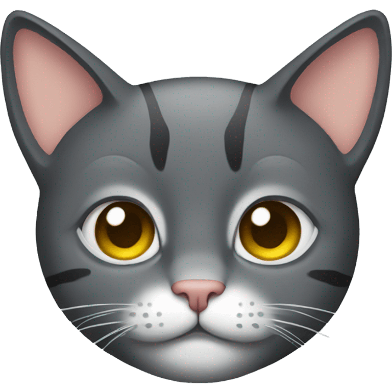 cat with armo emoji