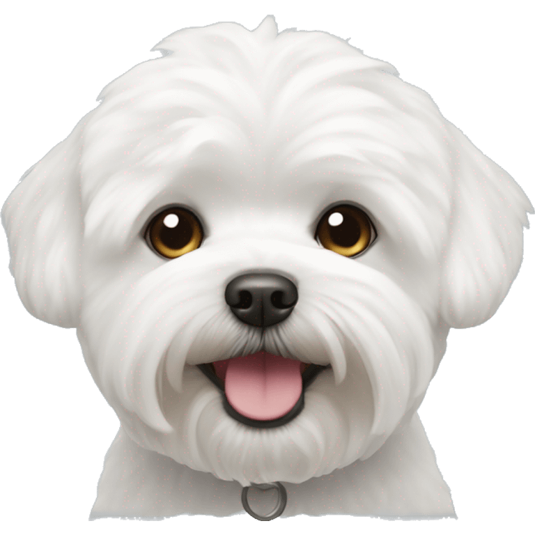 white bichon maltese  emoji