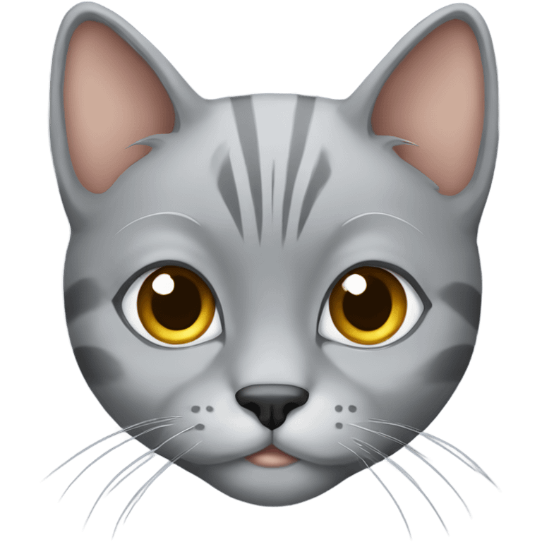 Gray scotches fold cat  emoji