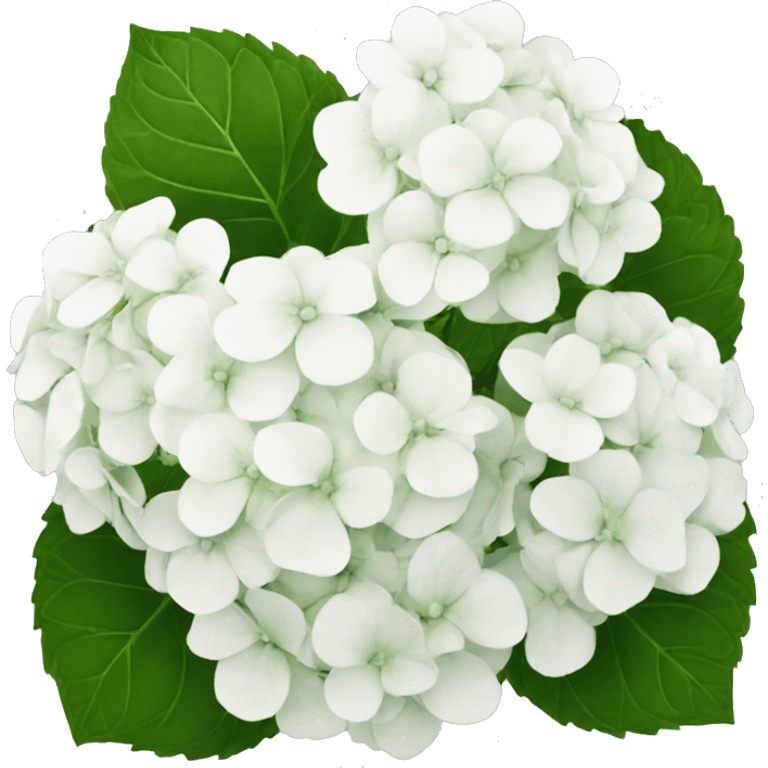 White hydrangea emoji