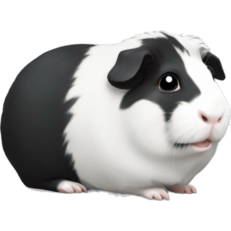 Black and white Guinea pig  emoji