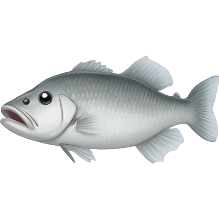 Barramundi fish  emoji