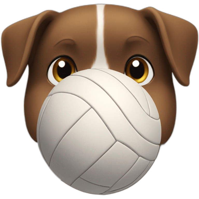 dog-spiking-volleyball emoji