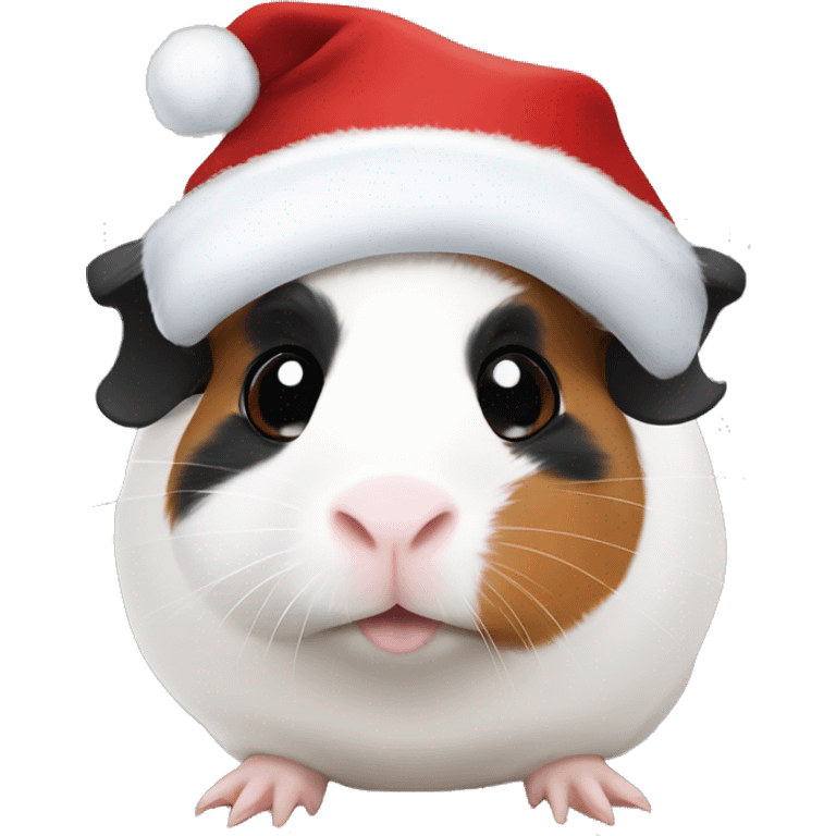 White Guinea pig with black on one eye and brown on the other eye with Christmas hat emoji